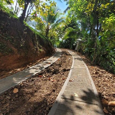 Private Jungle “Loft Del Rio” River Access Uvita Dış mekan fotoğraf