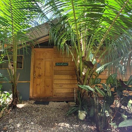 Private Jungle “Loft Del Rio” River Access Uvita Dış mekan fotoğraf