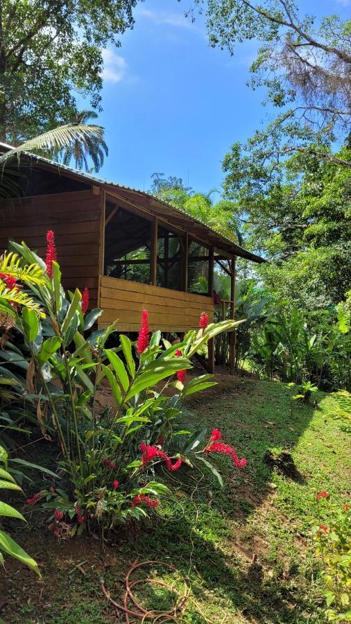 Private Jungle “Loft Del Rio” River Access Uvita Dış mekan fotoğraf