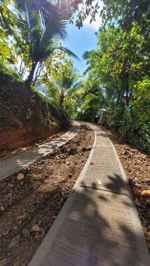 Private Jungle “Loft Del Rio” River Access Uvita Dış mekan fotoğraf