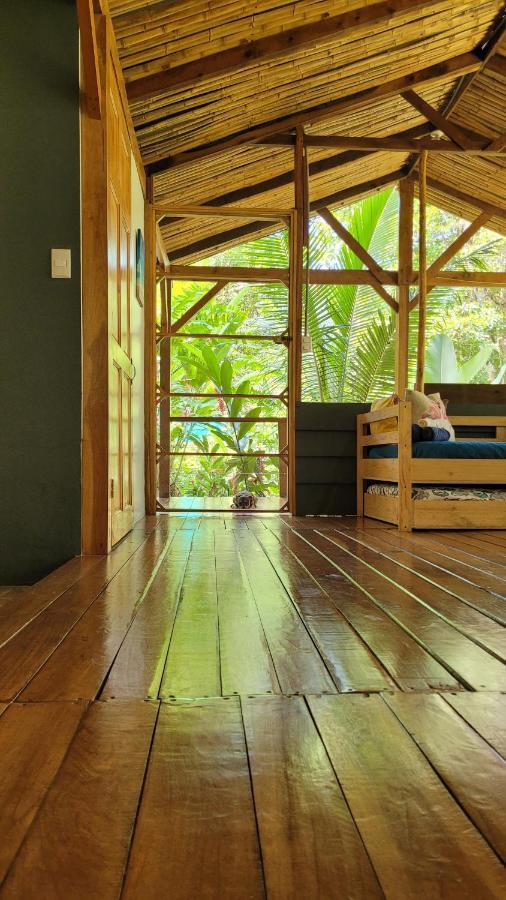Private Jungle “Loft Del Rio” River Access Uvita Dış mekan fotoğraf