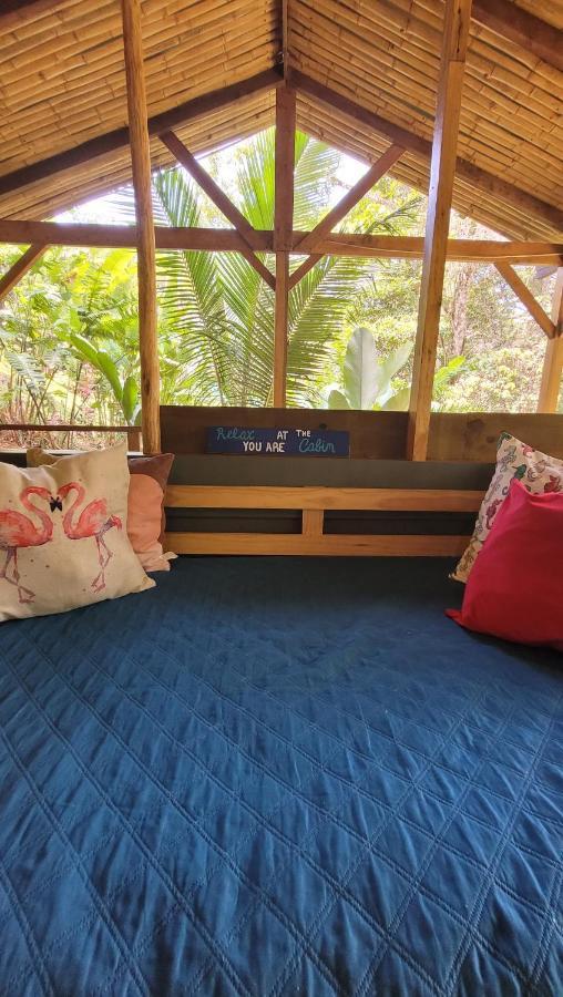 Private Jungle “Loft Del Rio” River Access Uvita Dış mekan fotoğraf