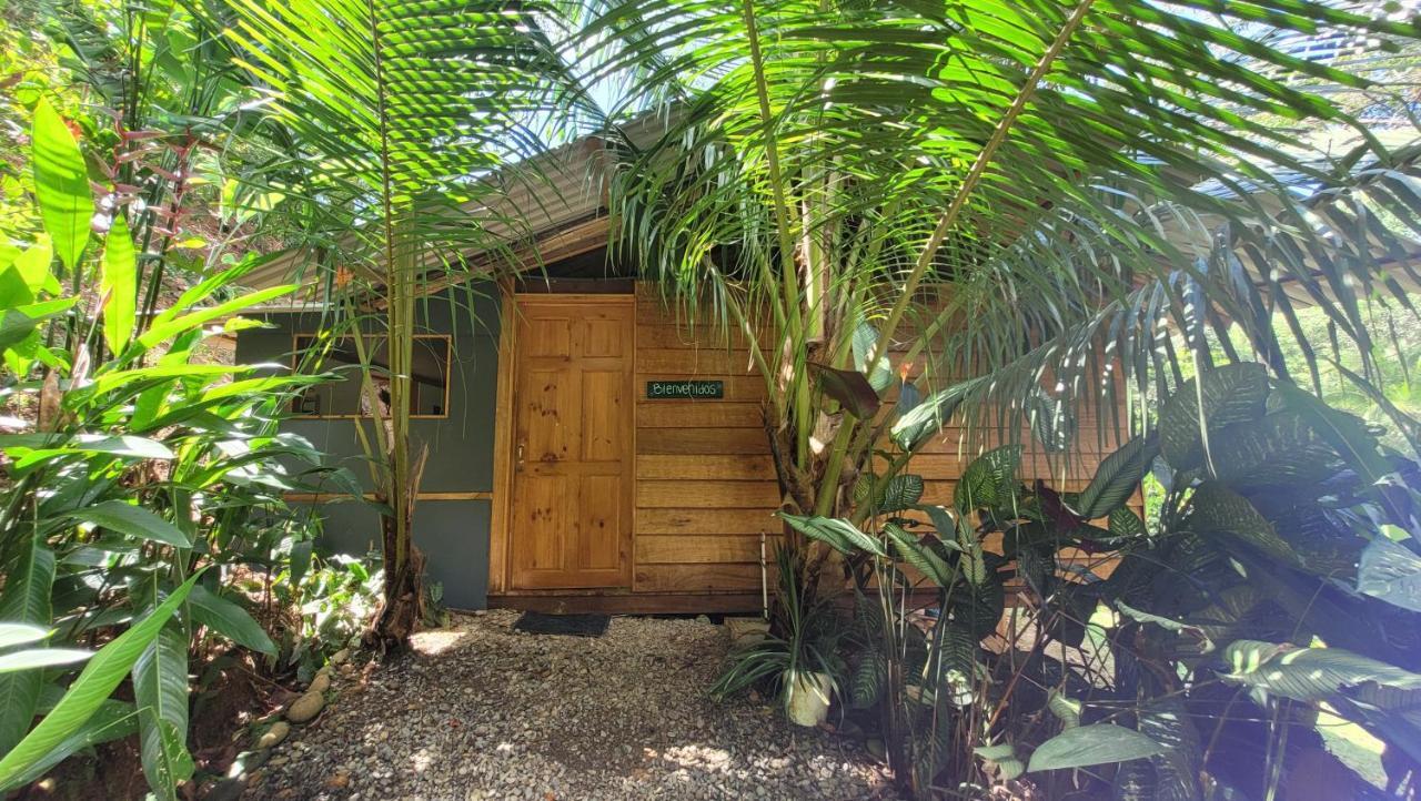Private Jungle “Loft Del Rio” River Access Uvita Dış mekan fotoğraf