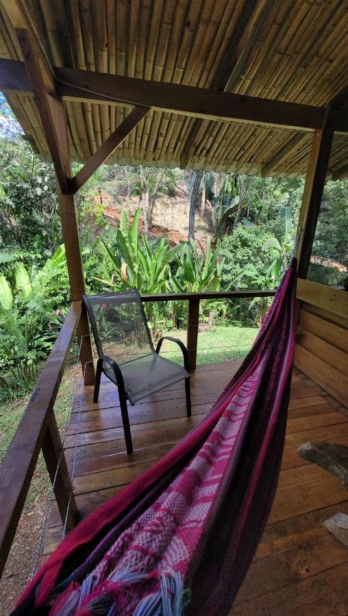 Private Jungle “Loft Del Rio” River Access Uvita Dış mekan fotoğraf