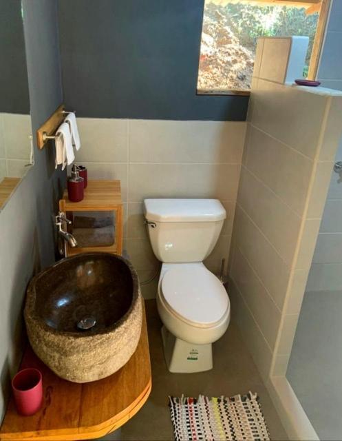 Private Jungle “Loft Del Rio” River Access Uvita Dış mekan fotoğraf